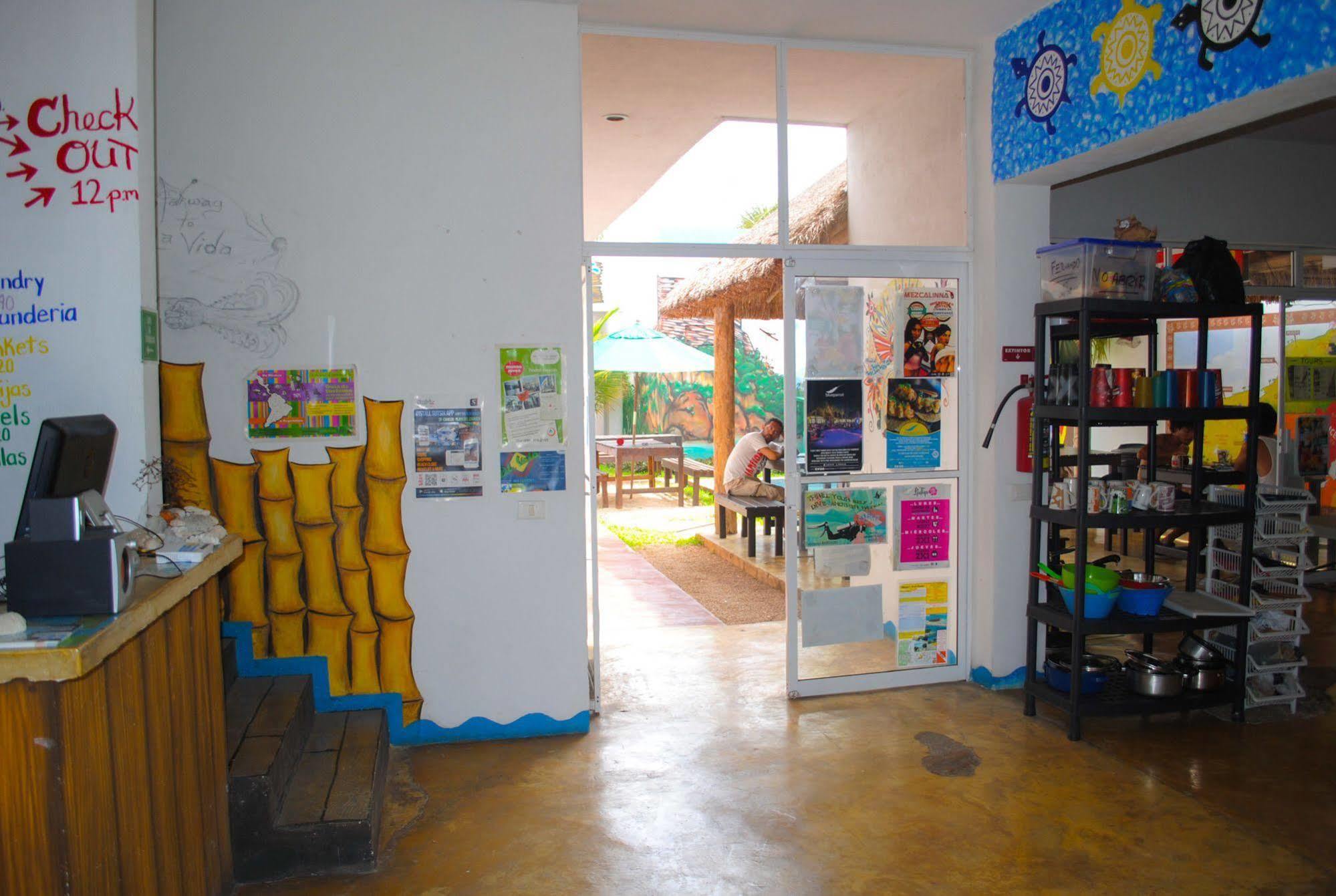 Hostal Vive La Vida Playa del Carmen Extérieur photo