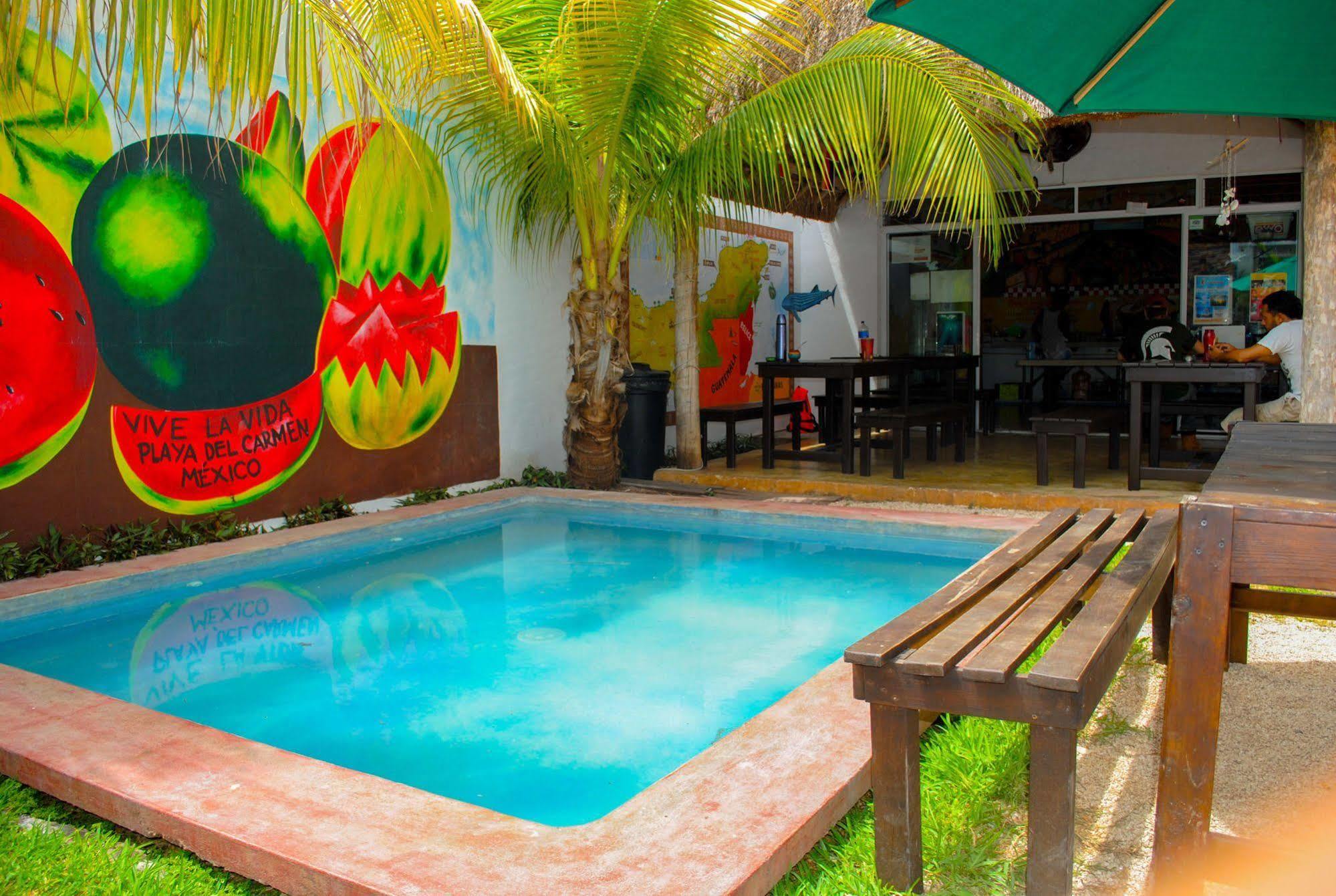 Hostal Vive La Vida Playa del Carmen Extérieur photo
