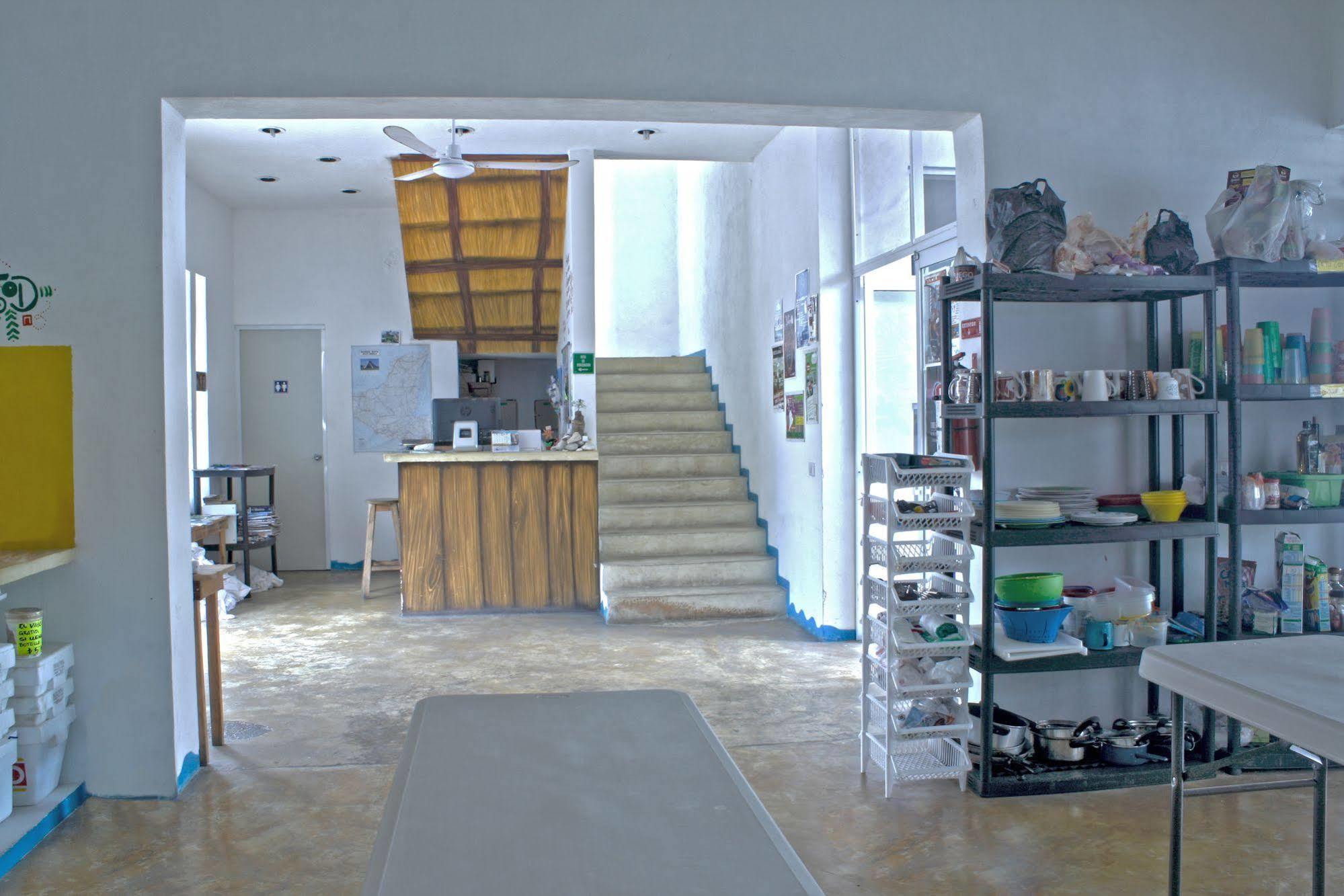 Hostal Vive La Vida Playa del Carmen Extérieur photo