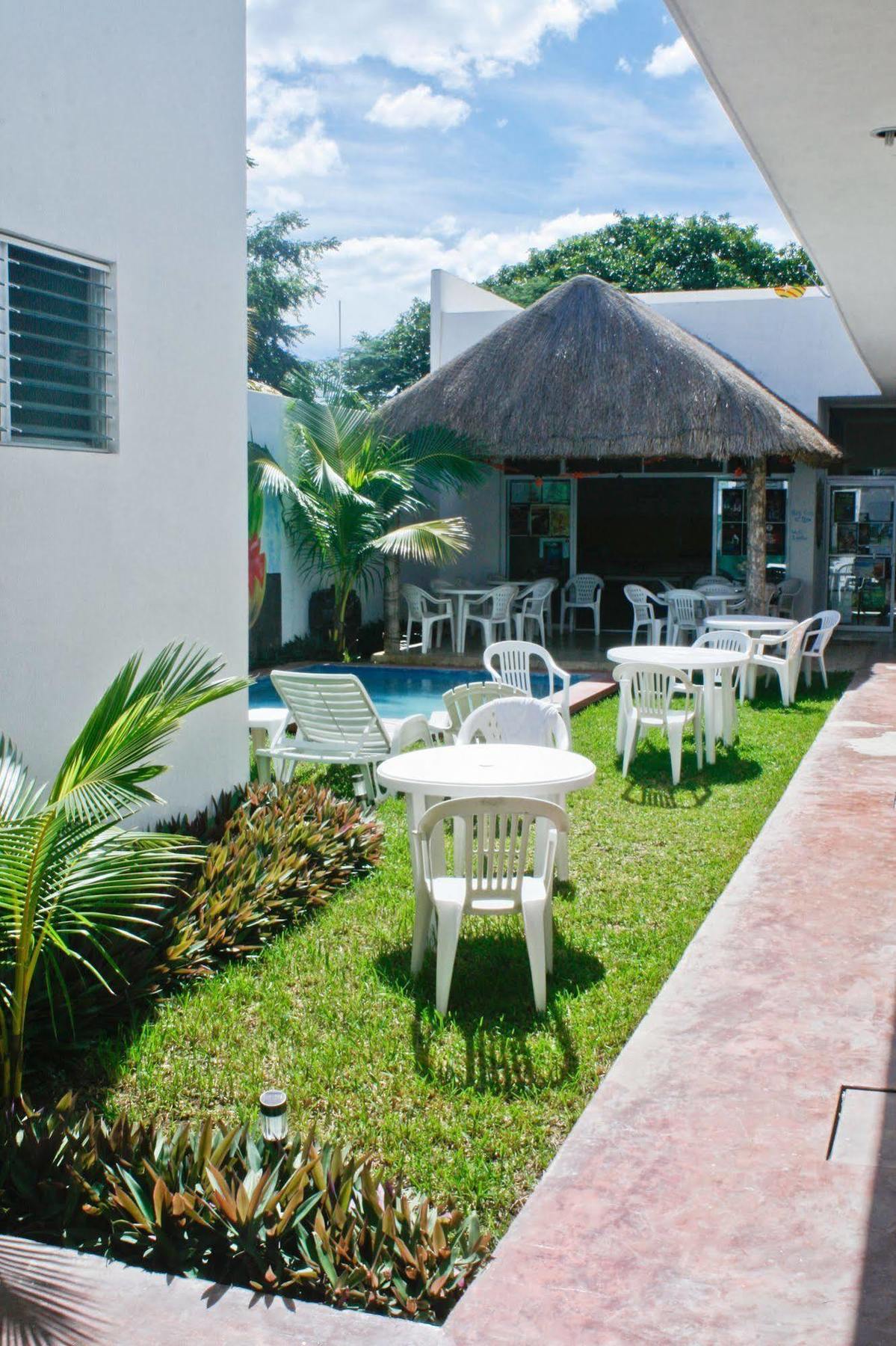 Hostal Vive La Vida Playa del Carmen Extérieur photo