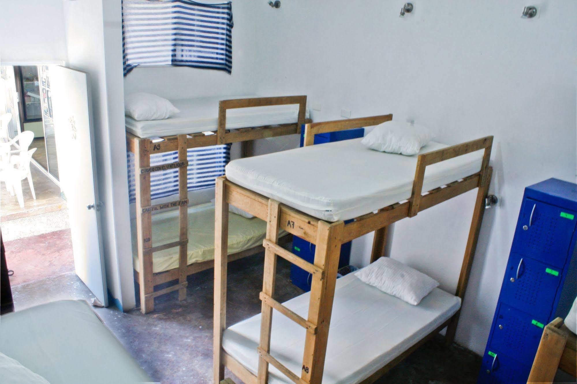 Hostal Vive La Vida Playa del Carmen Extérieur photo